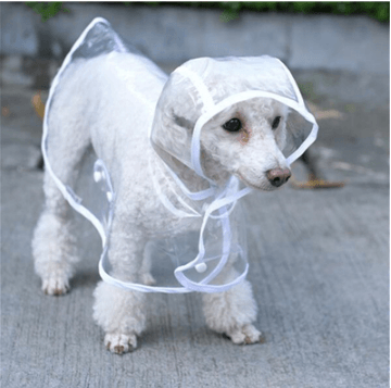 Transparent Waterproof Dog Raincoat - Stylish Protection For Your Pup-4