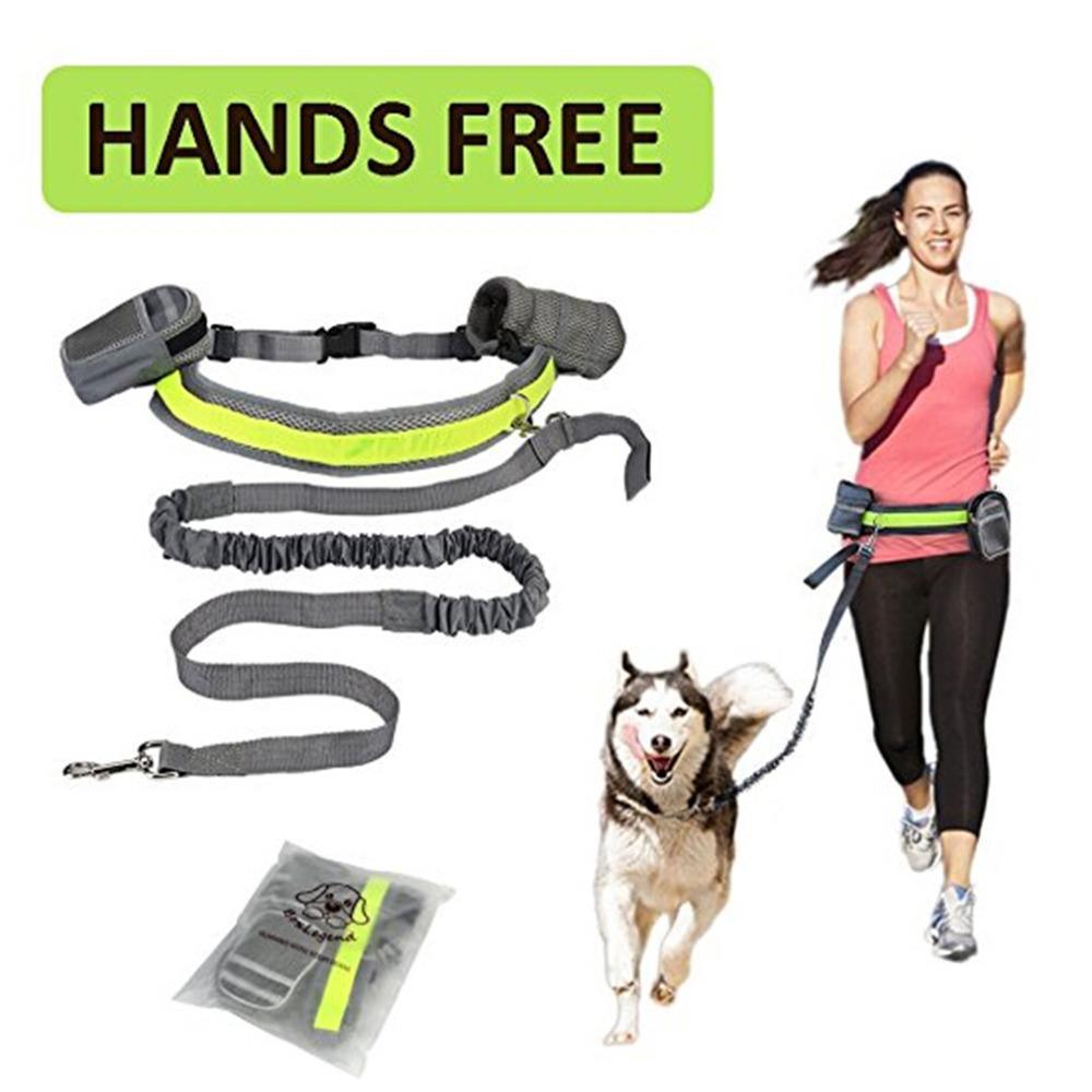 Hands-Free Pet Fitness Set: The Ultimate Companion For Active Dog Owners-0