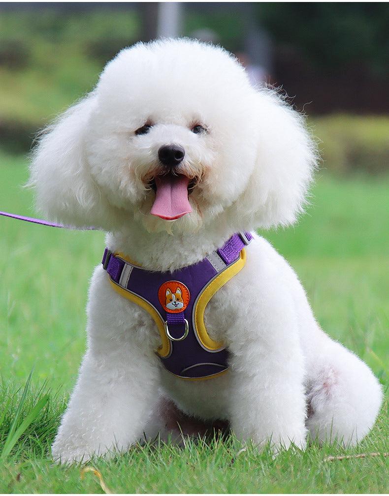 Ultimate Comfort And Safety Pet Harness Set-1