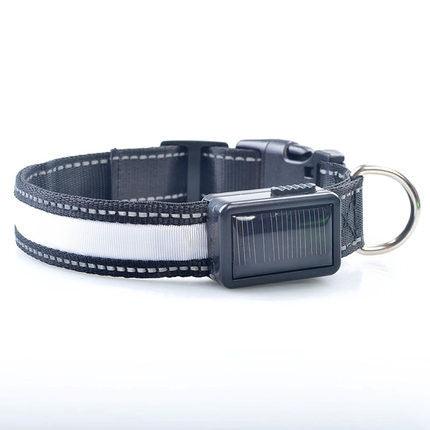 Solarpup Led Reflective Collar: Keep Your Furry Friend Safe And Stylish!-4