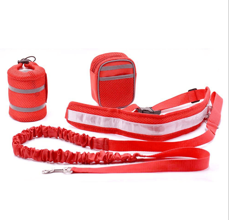 Hands-Free Pet Fitness Set: The Ultimate Companion For Active Dog Owners-3