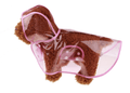 Transparent Waterproof Dog Raincoat - Stylish Protection For Your Pup-3