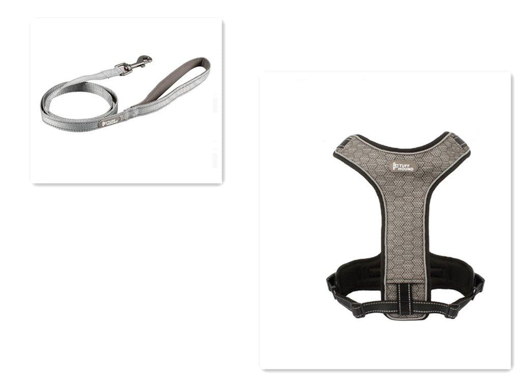 Adventure Paws Dog Harness And Leash Set-11