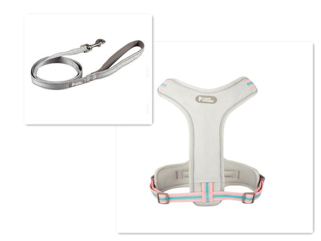 Adventure Paws Dog Harness And Leash Set-19