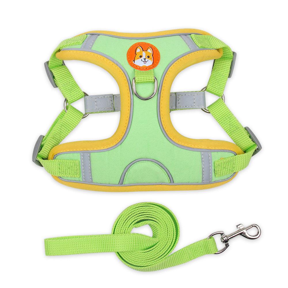 Ultimate Comfort And Safety Pet Harness Set-3