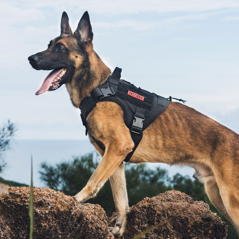 OneTigris Dog Harness Vest